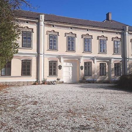 רייכנאו Sisi-Schloss Rudolfsvilla - Apt. Nene Und Die Abenteuerlichen Schwestern מראה חיצוני תמונה